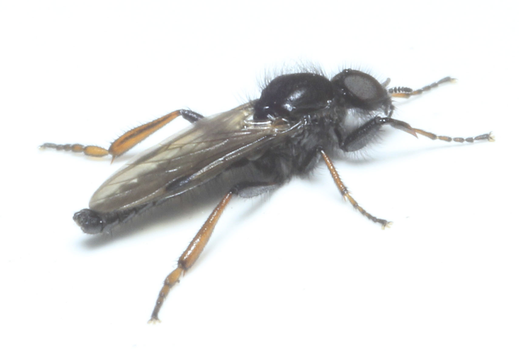 Copyright: Steve Terry