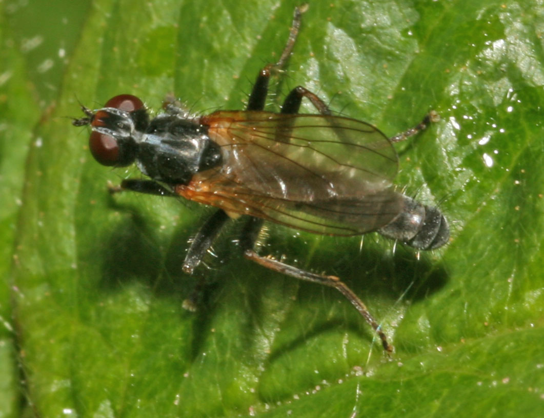 Copyright: Steve Terry