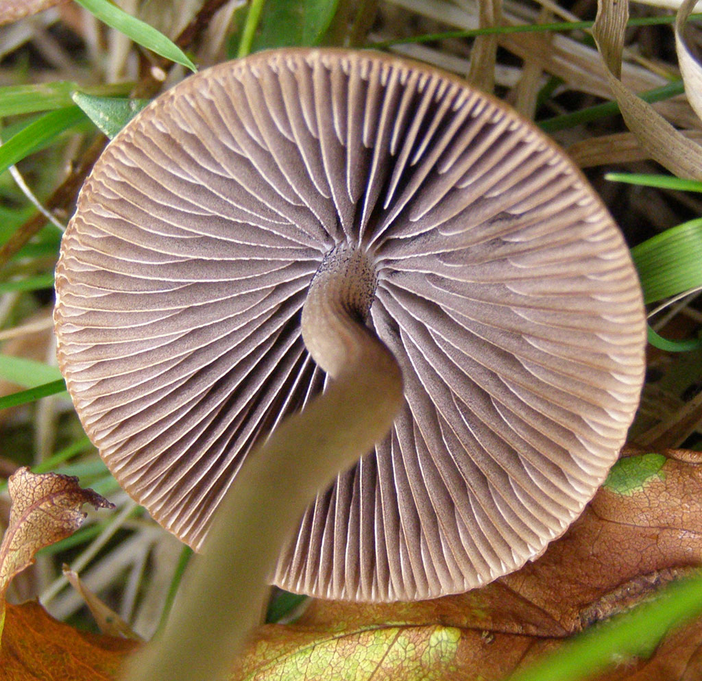 Copyright: Terry Swainbank