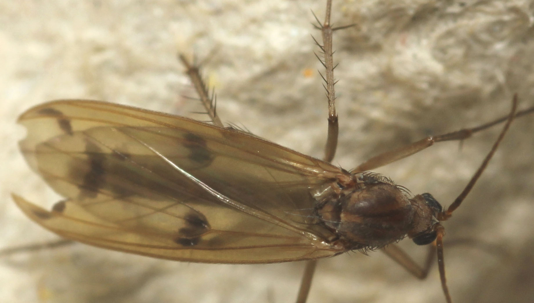 Copyright: Steve Terry